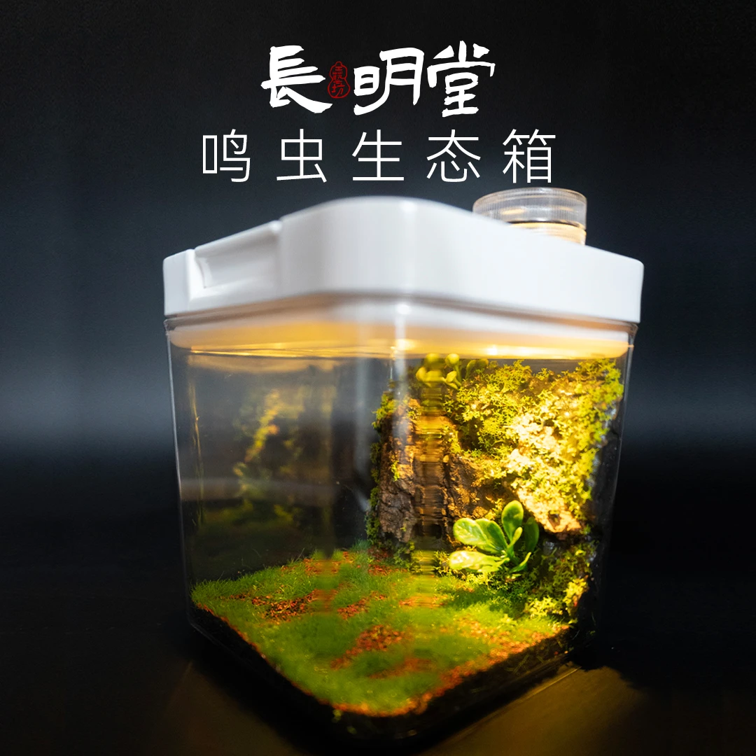 鸣虫甲虫斗虫爬宠生态箱带等设计方便实用
