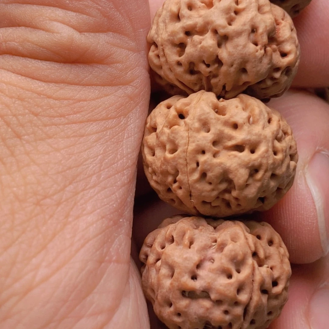 金刚菩提吊坠6瓣21➕爆肉双龙