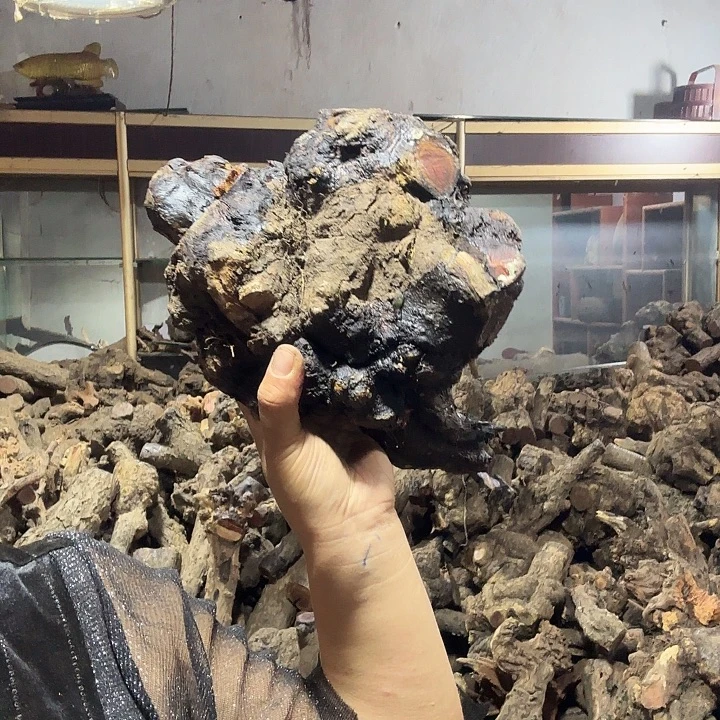 陶***说火琉璃的故事是一