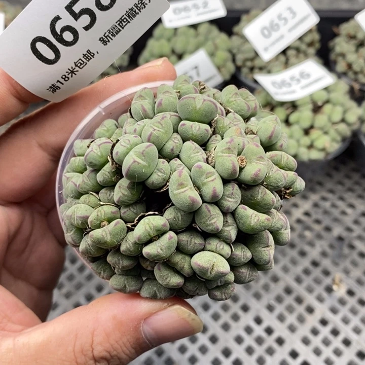658。