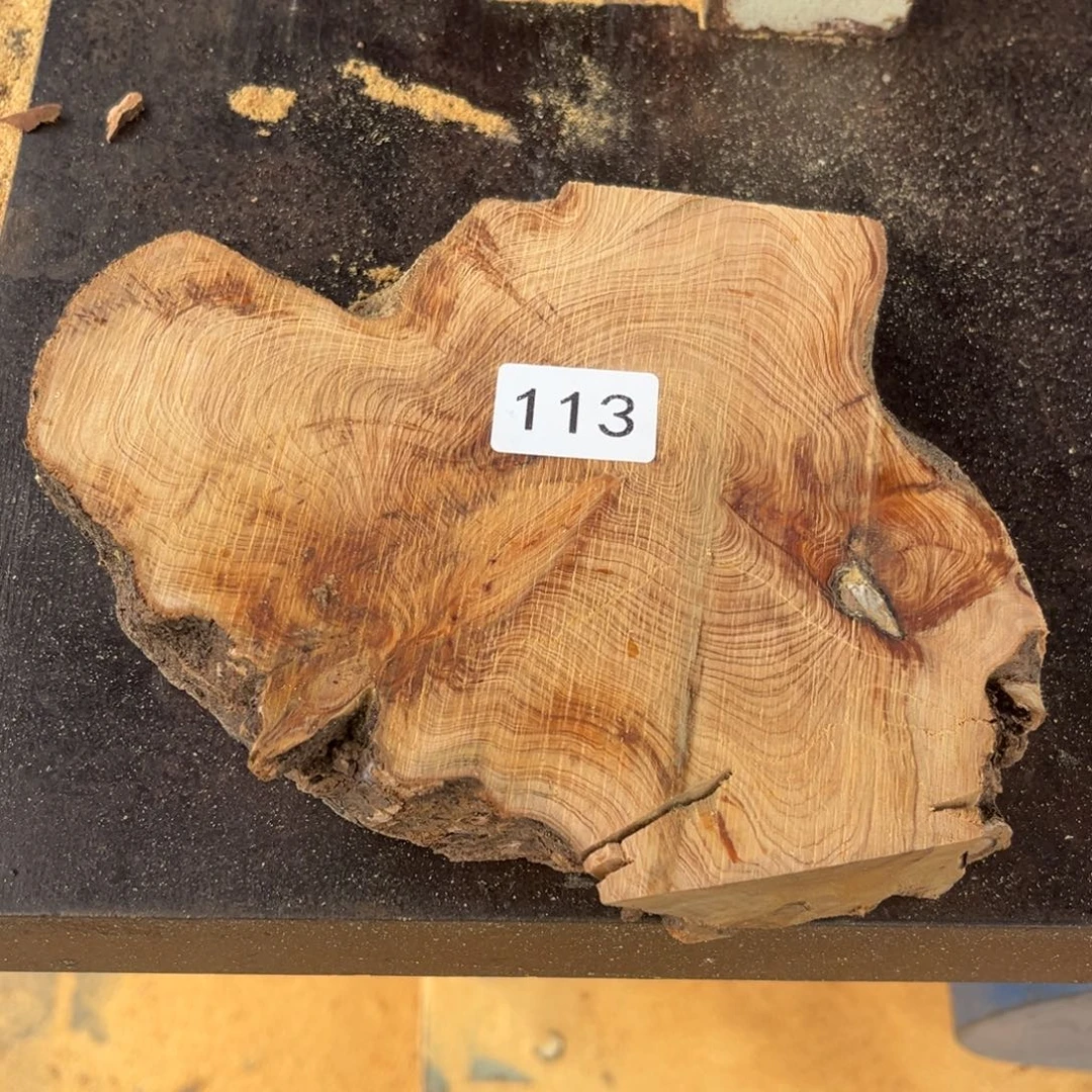 柏木南太行崖柏切片