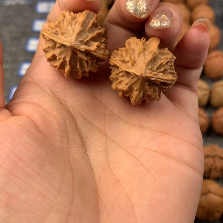 龙脊。