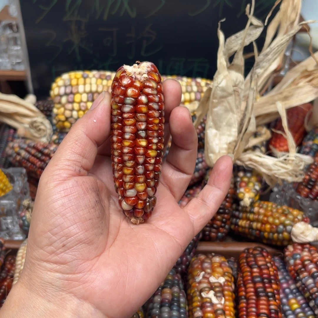 柏香籽/百香籽吊坠风****海
