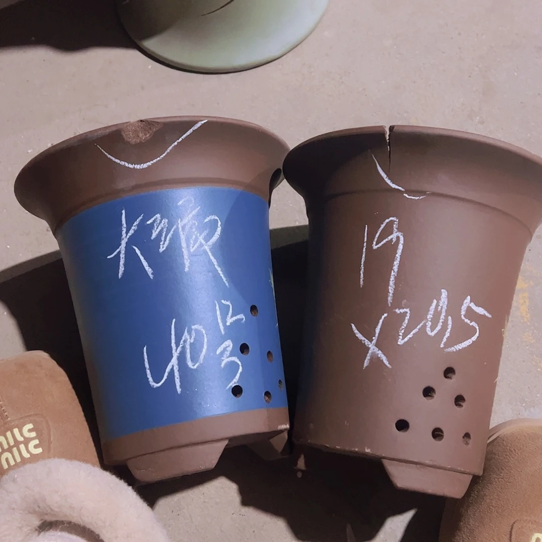 紫砂40……………………………………