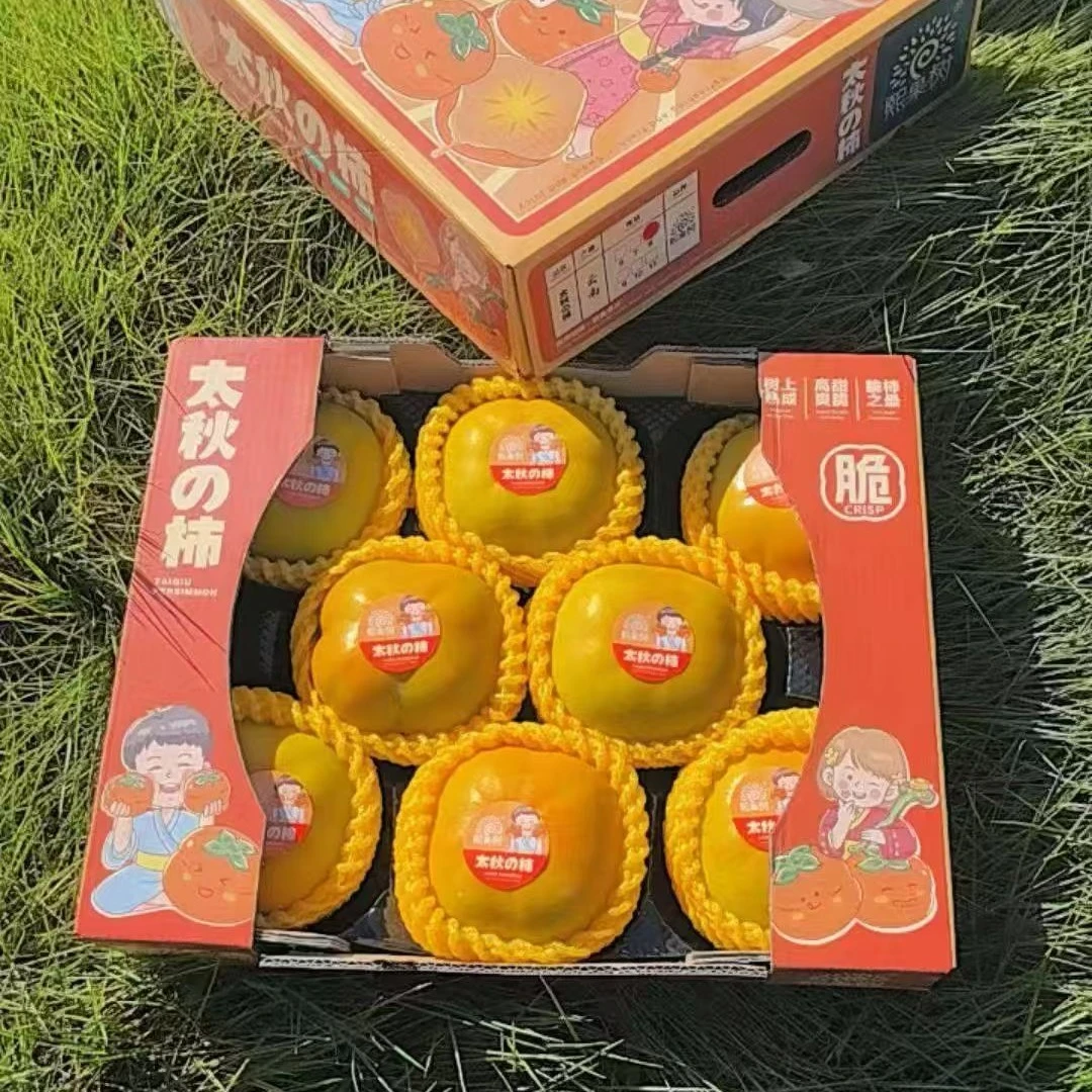 【太秋脆柿】爽脆 清甜可口 3斤 深圳当日达 无核糖心