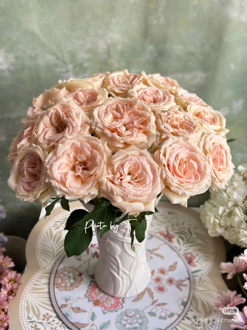 （单头玫瑰）德芮尔清香10支！三件顺丰空运20%不售后