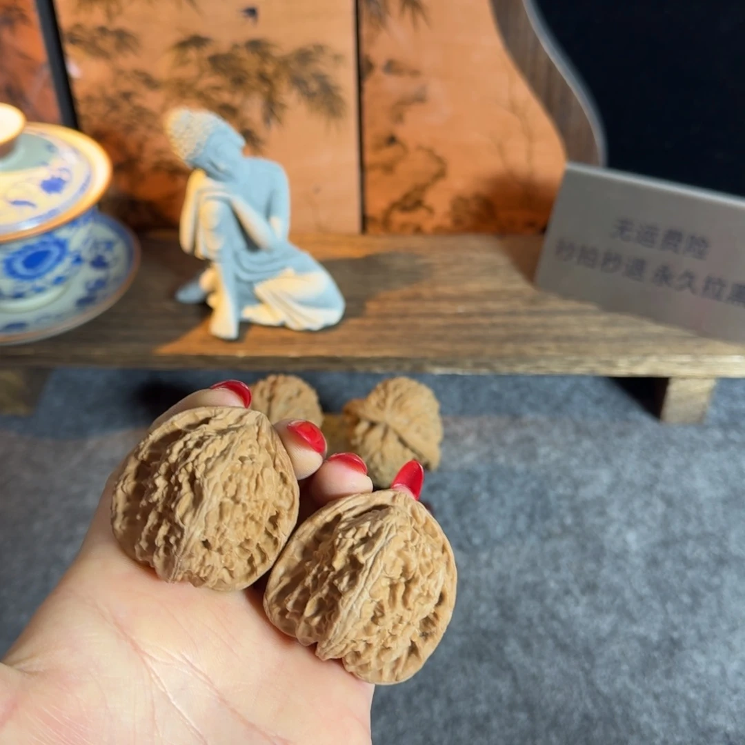 全品40白狮子白茬