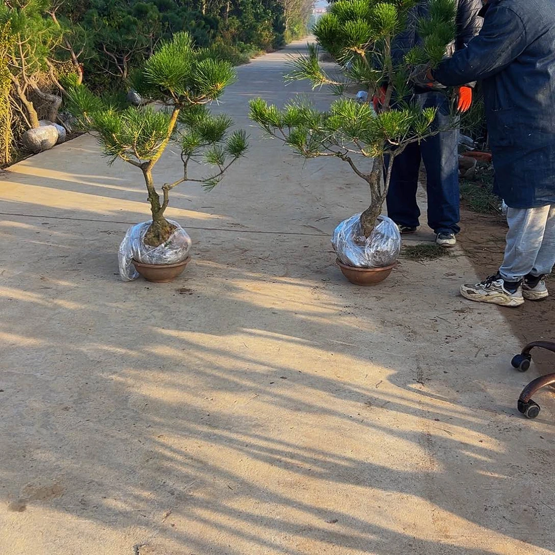 无花朵金****坊8888888888
