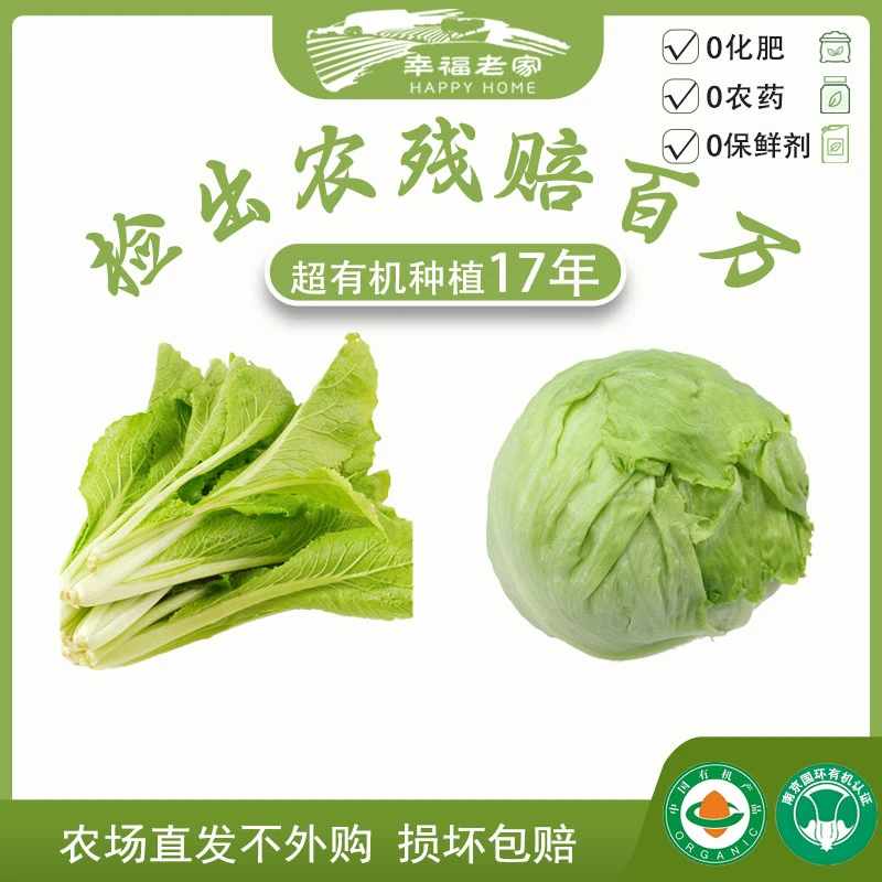 幸福老家有机小白菜2斤、有机球生菜2斤 农场种植直发零农药零化肥
