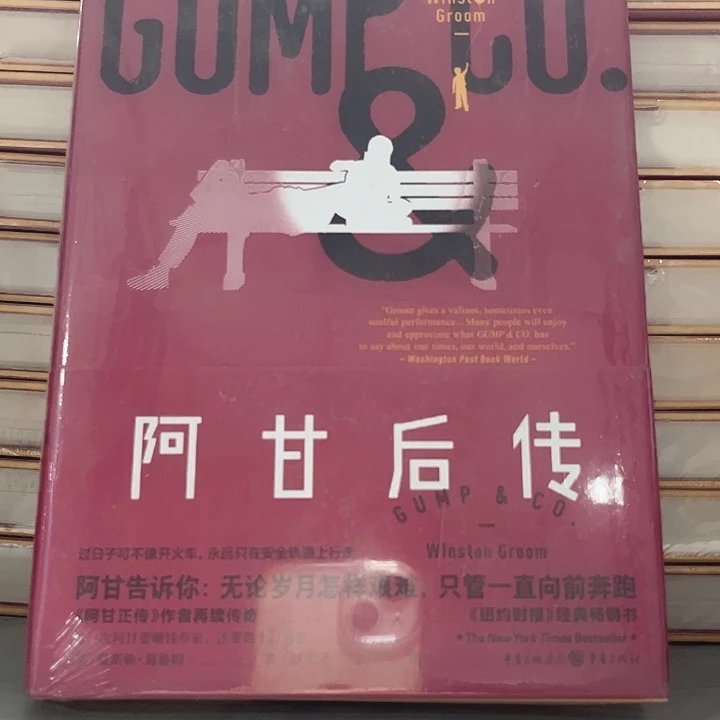 阿甘后传全新精装