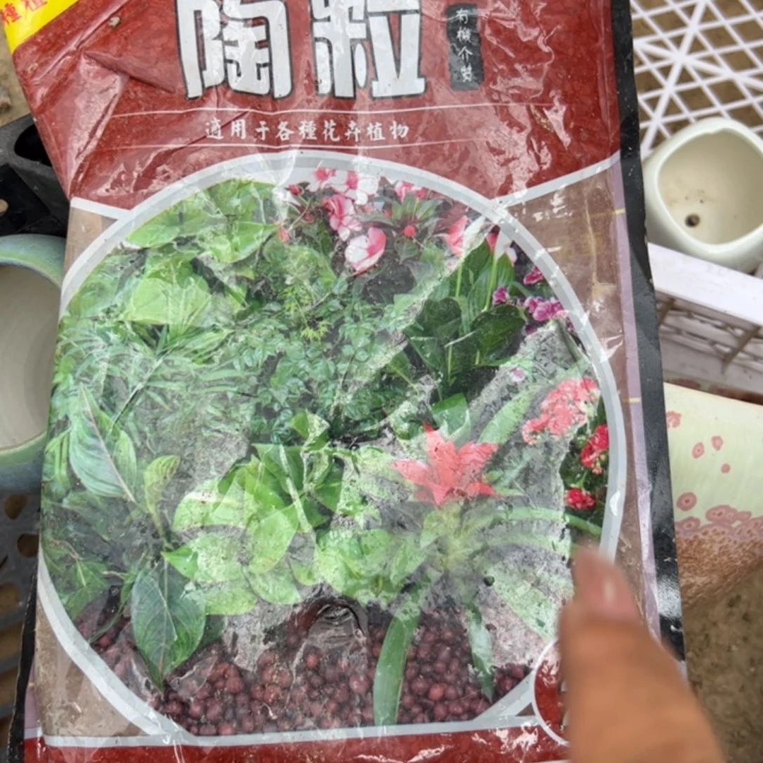 陶粒2l 有单发货