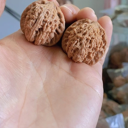 【闪购商品】把件文玩核桃32蚂蚁沟小众