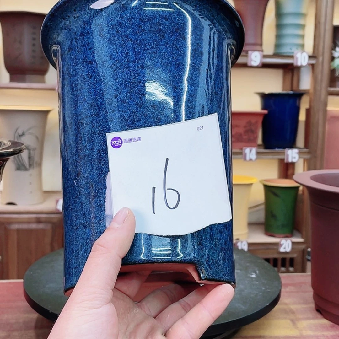 【闪购商品】紫砂花盆鼠*牛兰花42558517726688578