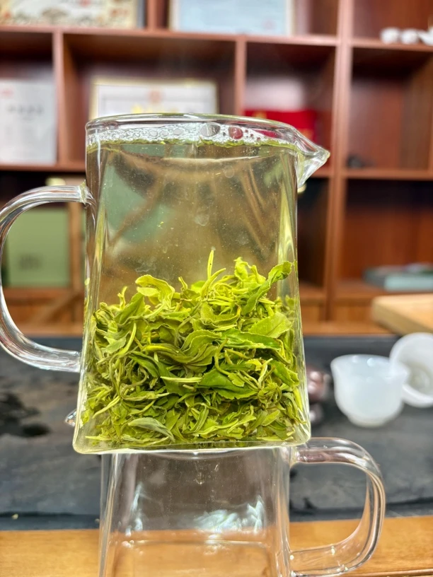 【春茶一芽一二叶】五月露天2025新茶日照绿茶香味持久耐泡正宗