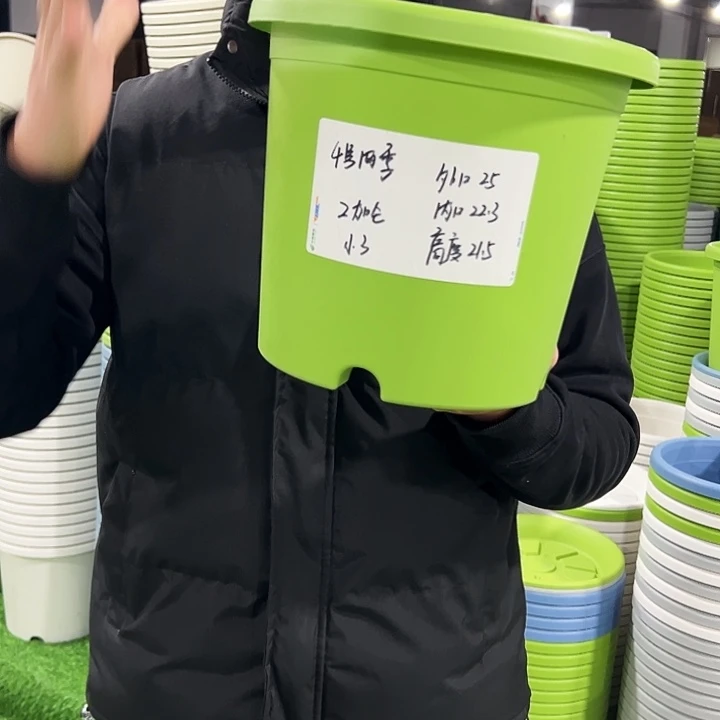 特价4号口25高21.5果绿色10只无托