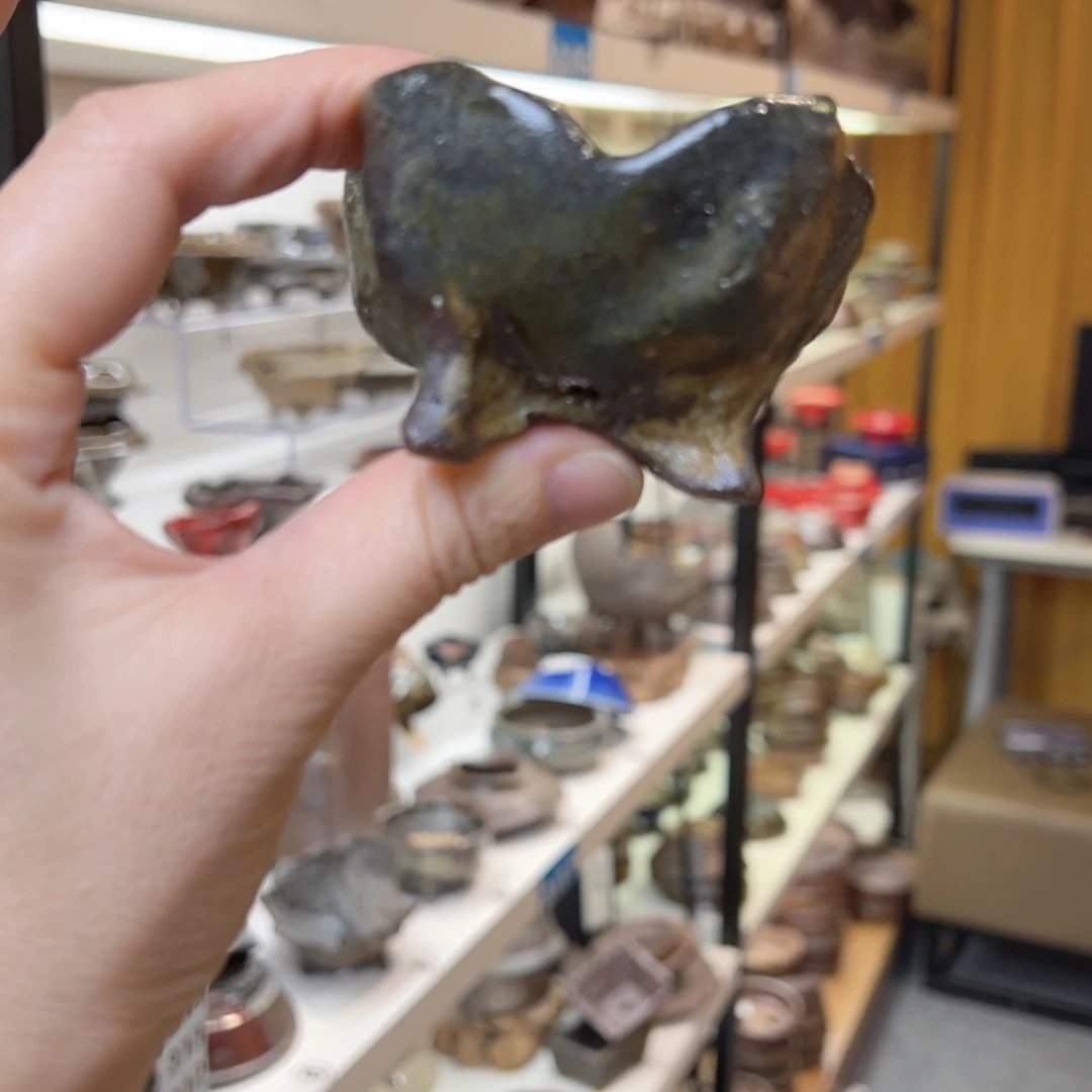 6x3.5////////////////