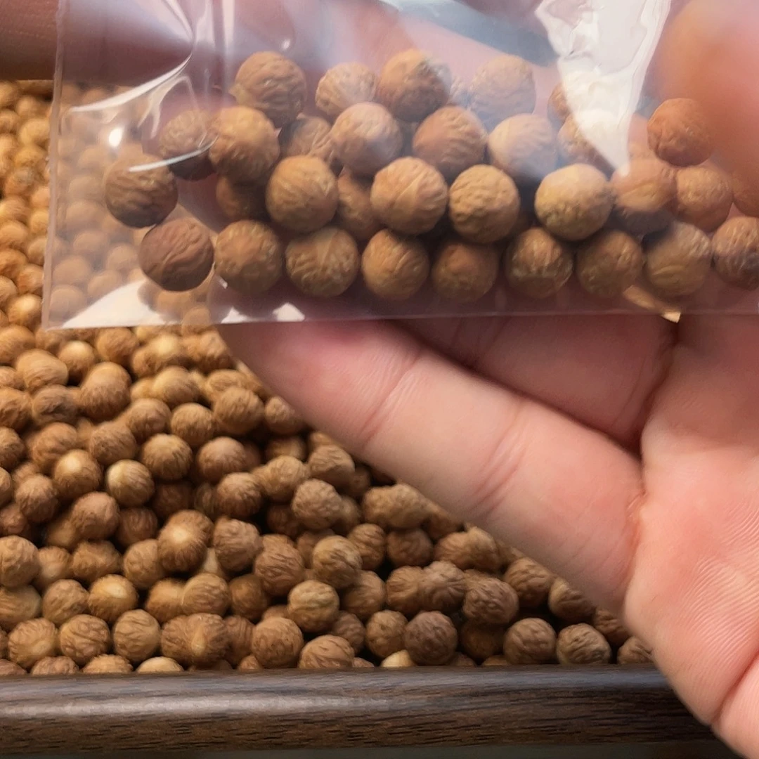 老***五大眼酸枣核0.8打孔