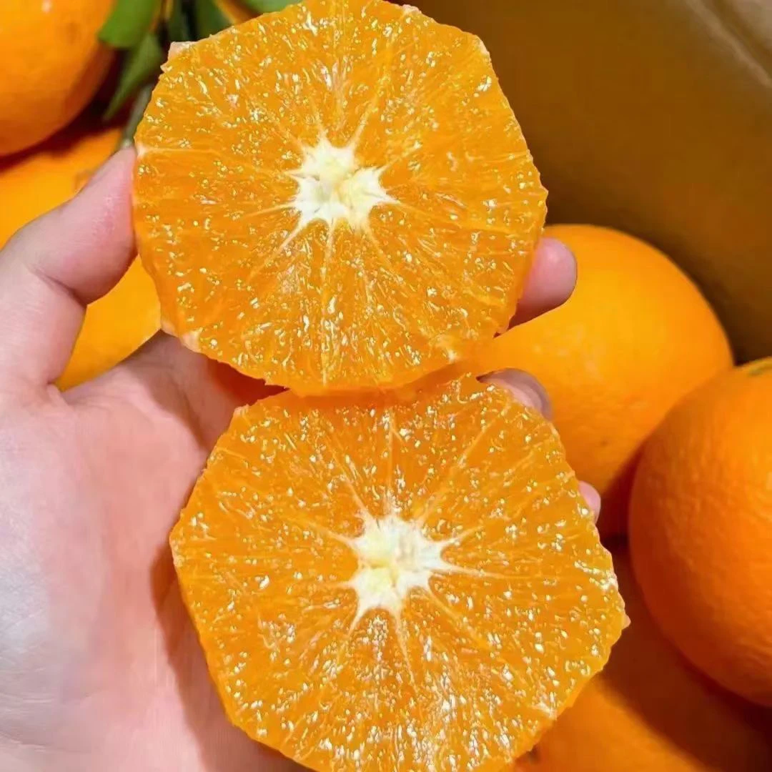 赣南脐橙一箱/10斤