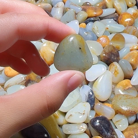 和田玉（糖玉）未镶嵌颈饰11.5克