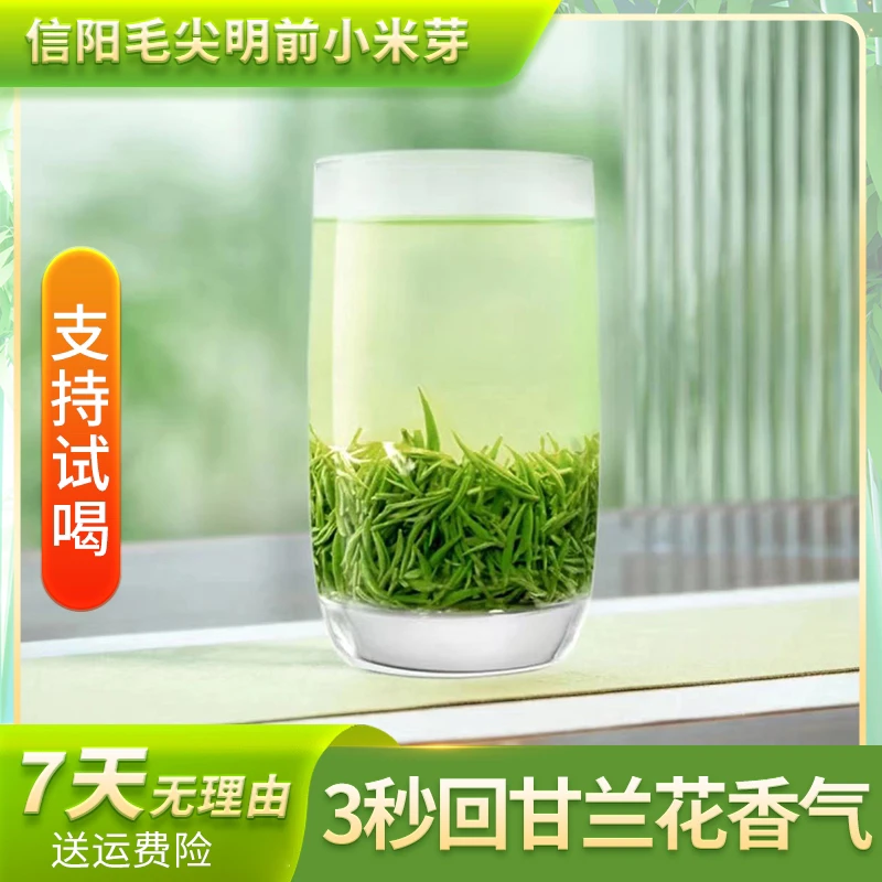 信阳毛尖新茶明前头采 小芽 兰花香清香淡雅5号  双十一活动