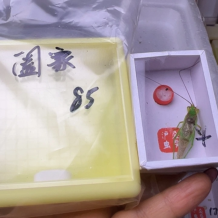 阖***瑞哈哈哈哈哈哈哈哈哈哈哈哈哈哈