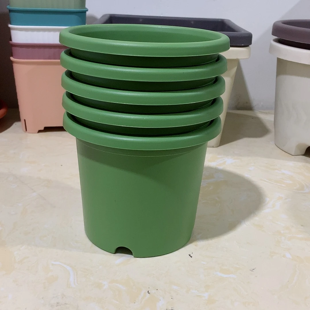 树脂四季口17果绿5个带托