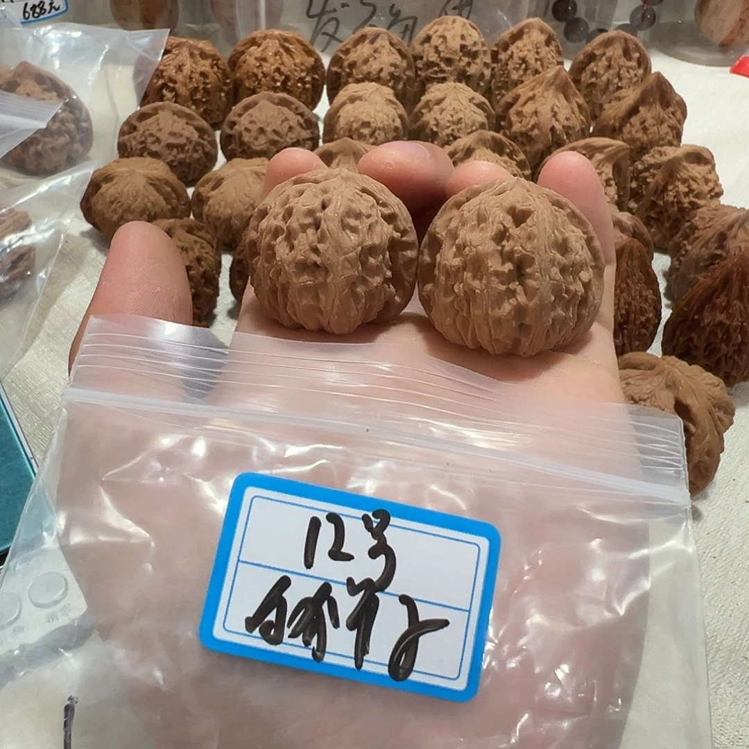 文玩核桃37尺白狮子