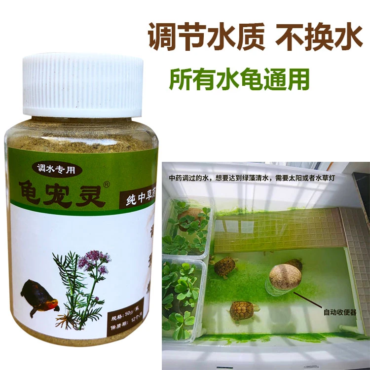 调水质龟宠灵养龟不过滤稳定净化水质收便器