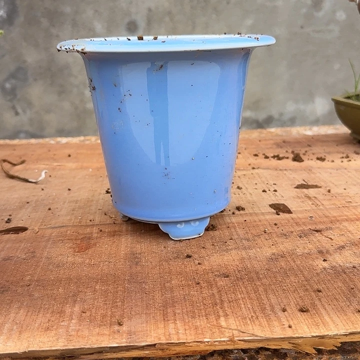 清***提一个一个一个一个一个一个一个一个一个