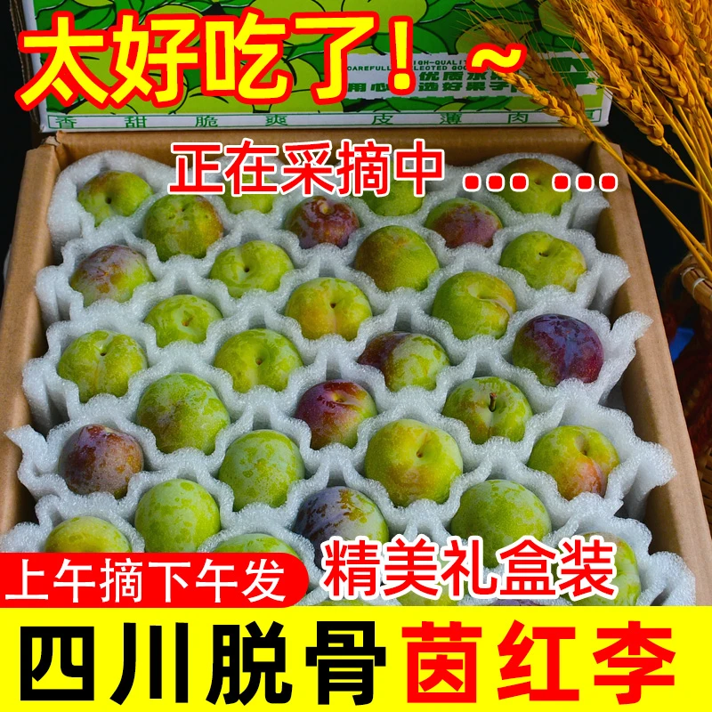 四川高山茵红李脱骨脆李半边红当季水果礼盒装5斤