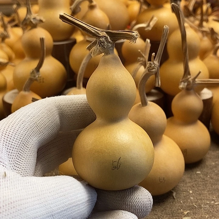 文玩葫芦 完美主义者 慎拍56