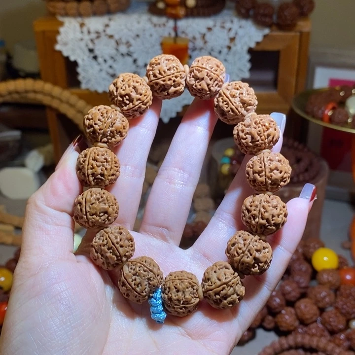 手串金刚菩提185原籽肉一物