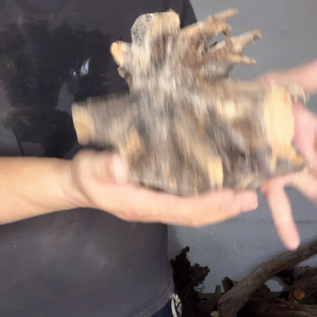 红***）木太行崖柏摆件摆件