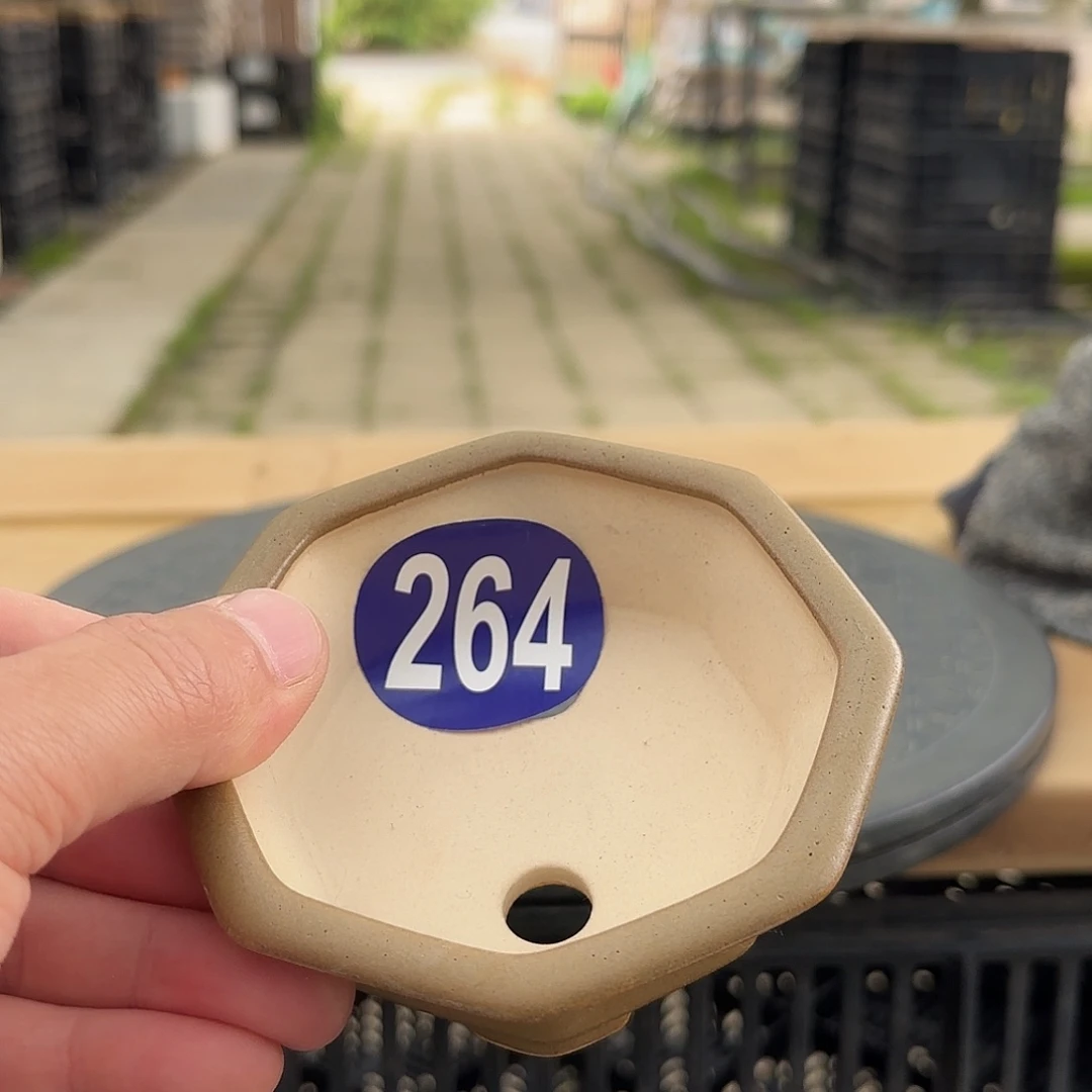 东****）一颗不留全场264