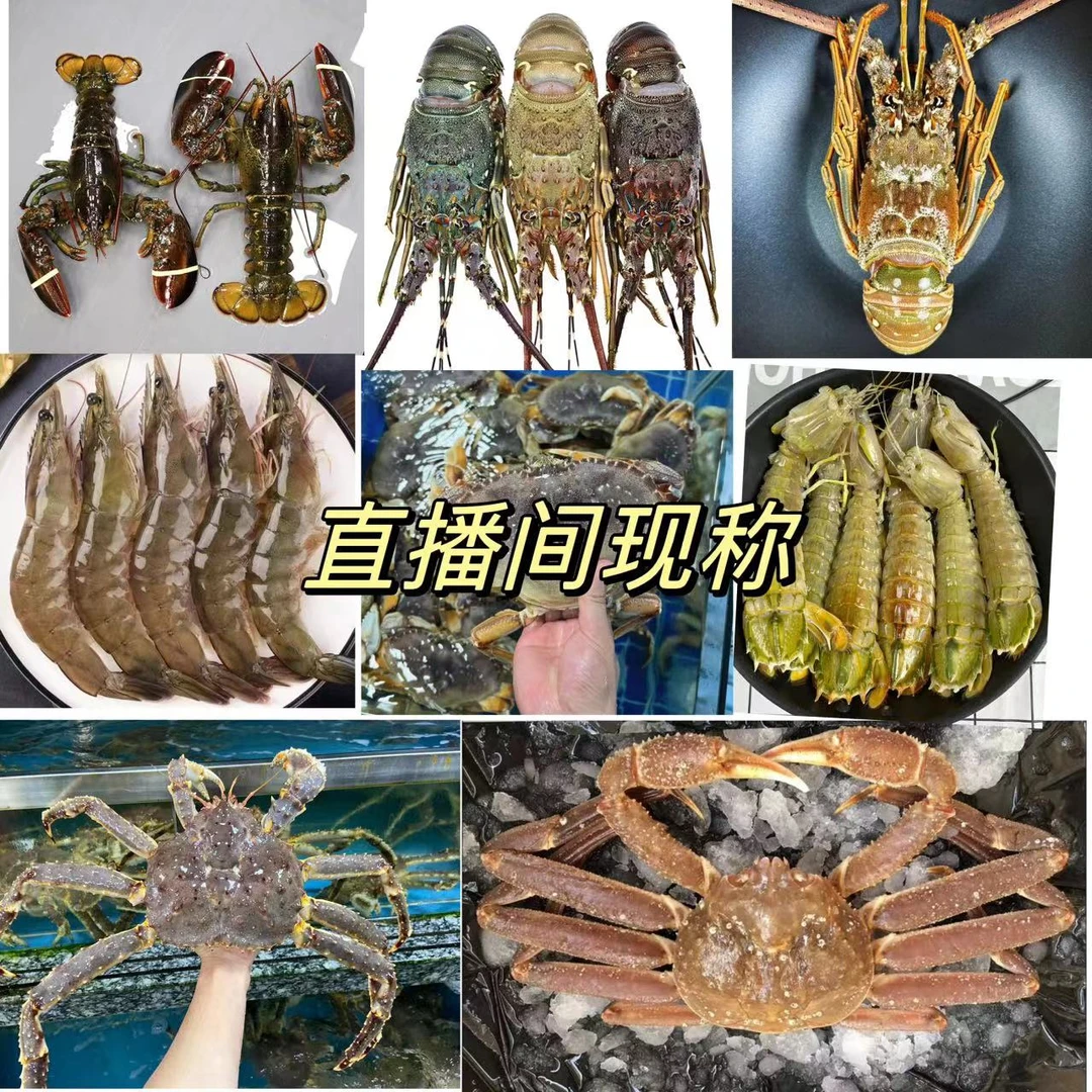 直播现称龙虾 帝王蟹 斑节虾 面包蟹 各类海鲜厦门发货