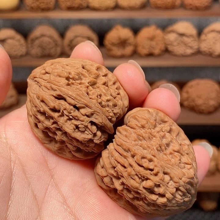 全品无修南疆无修