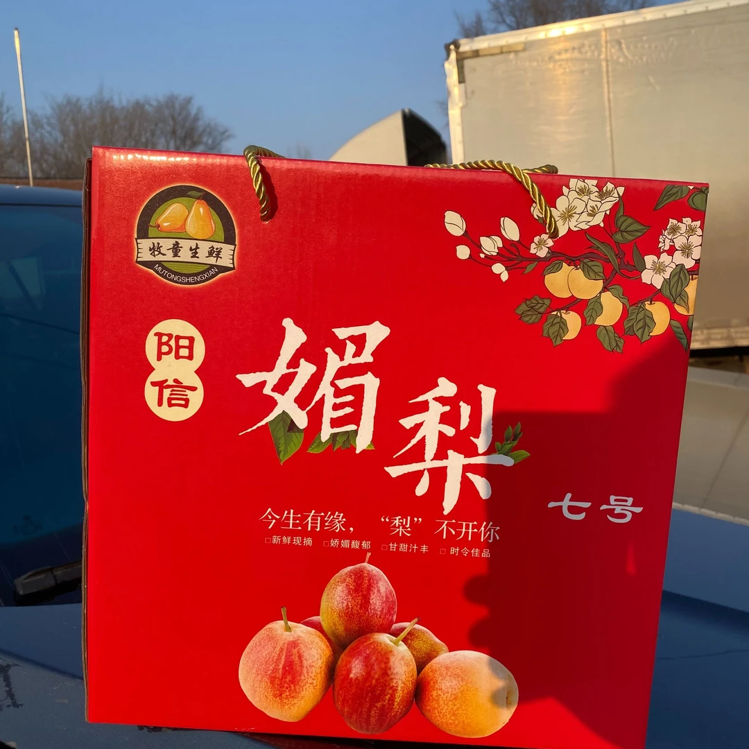 【产地直发】正宗阳信媚梨7号脆甜多汁皮薄核小坏果包赔礼盒装
