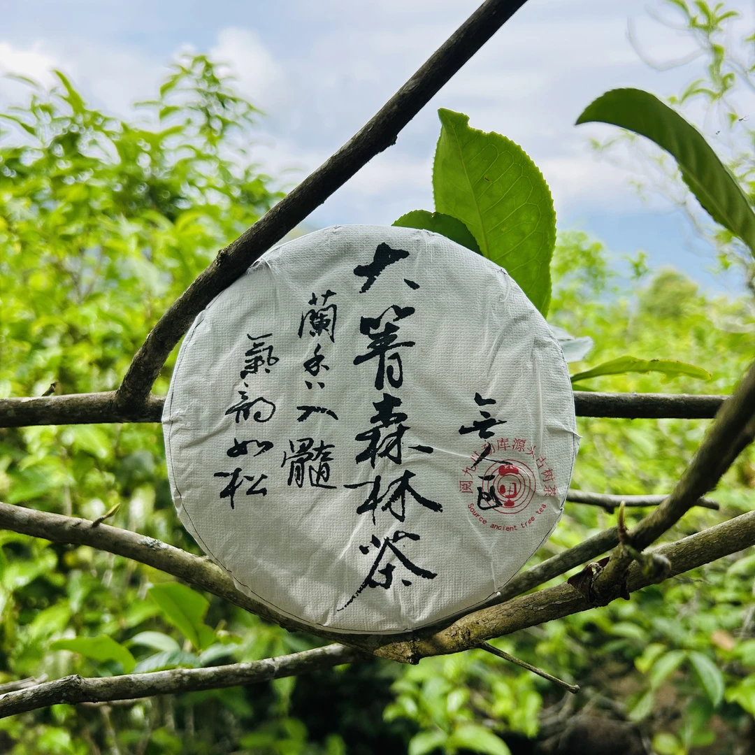25年（大箐森林古树茶)满口兰香普洱生茶头春茶饼茶
