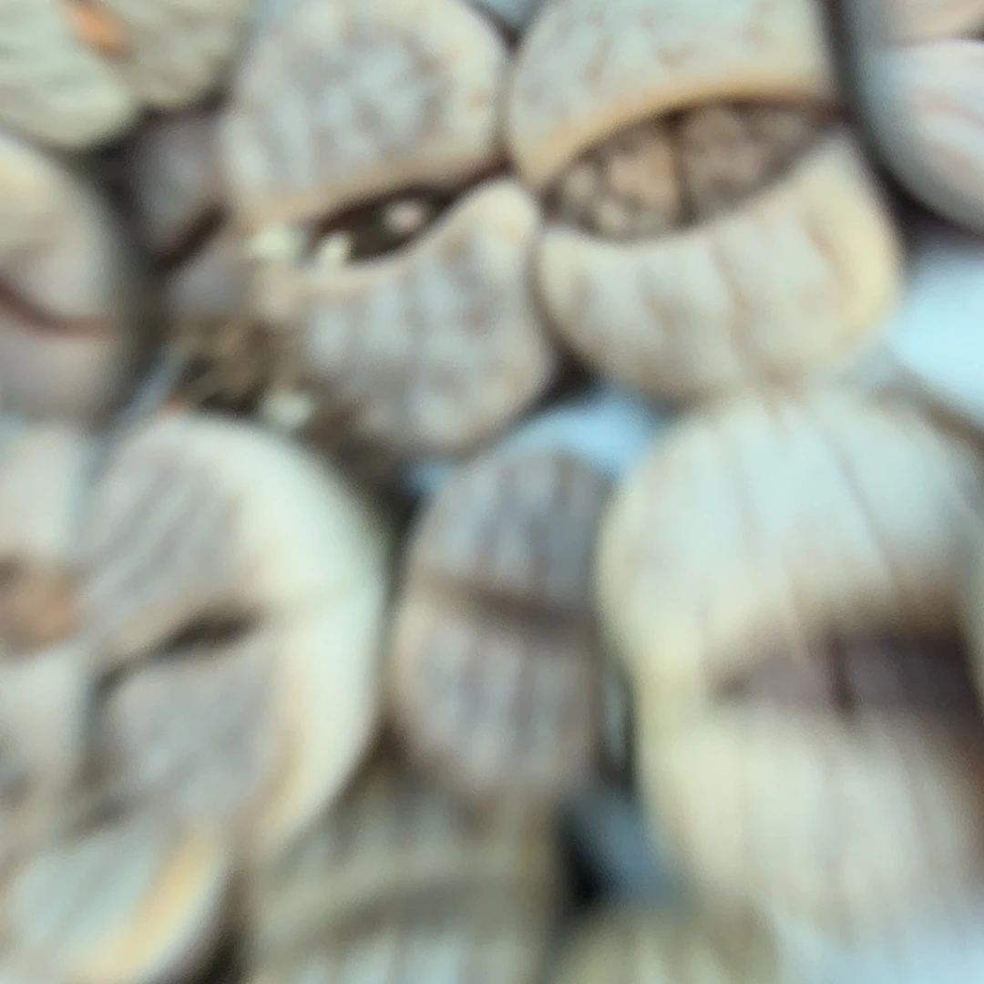 这个点睡一下午真的有点困难吧呜呜504是