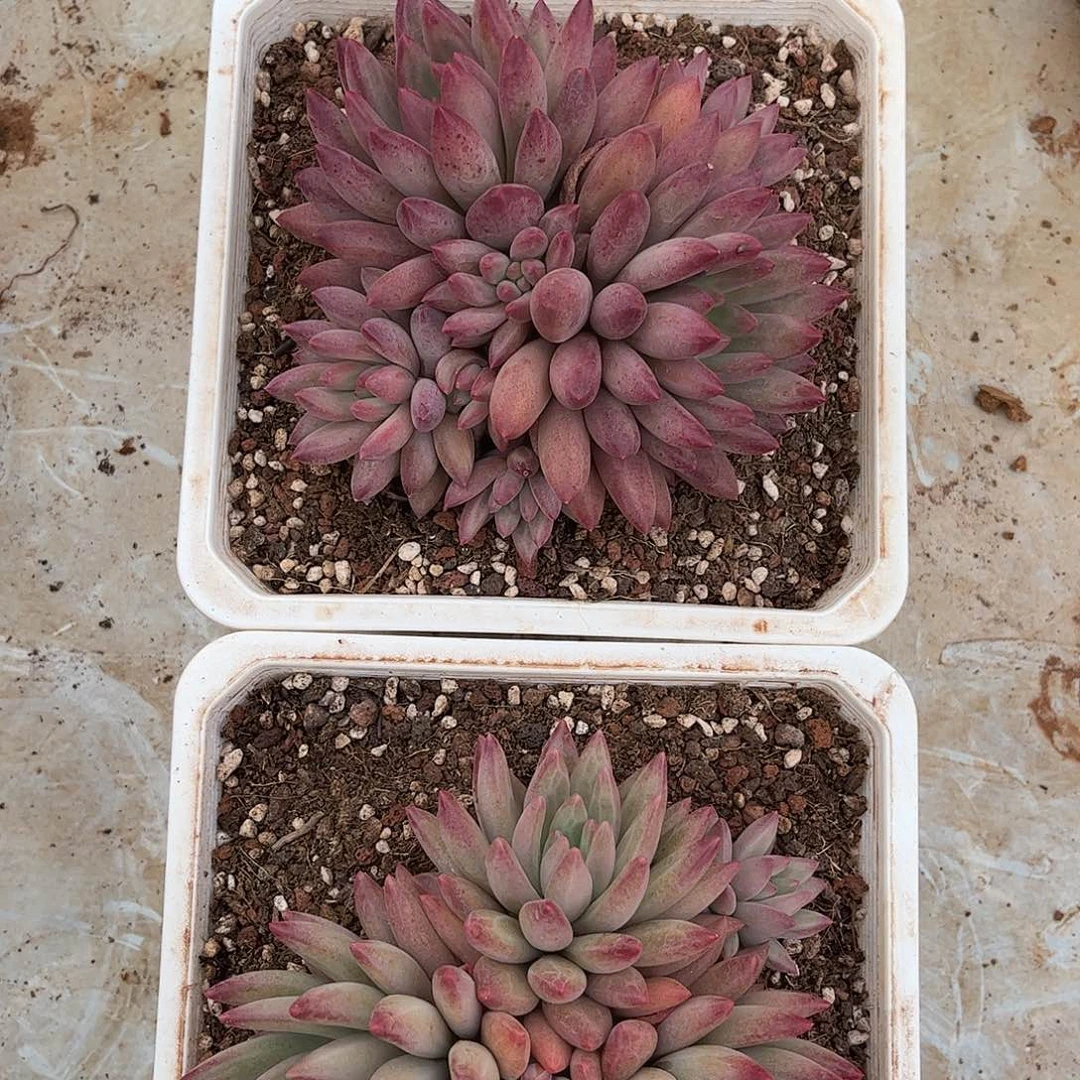 赞赞赞赞赞赞赞赞赞赞