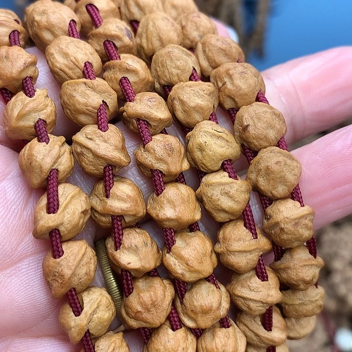 蛟龙大尺过卡9长串