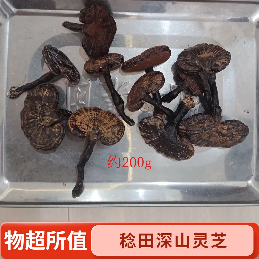 稔田深山灵芝 煲汤泡茶养生佳品（体验装）