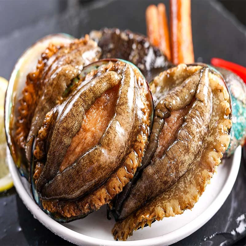 【一霏】新鲜冷冻11-12头鲍鱼共30只 6cm左右活鲍捕捞加工速冻海鲜