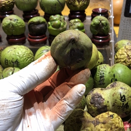 吊坠桃核核桃核桃