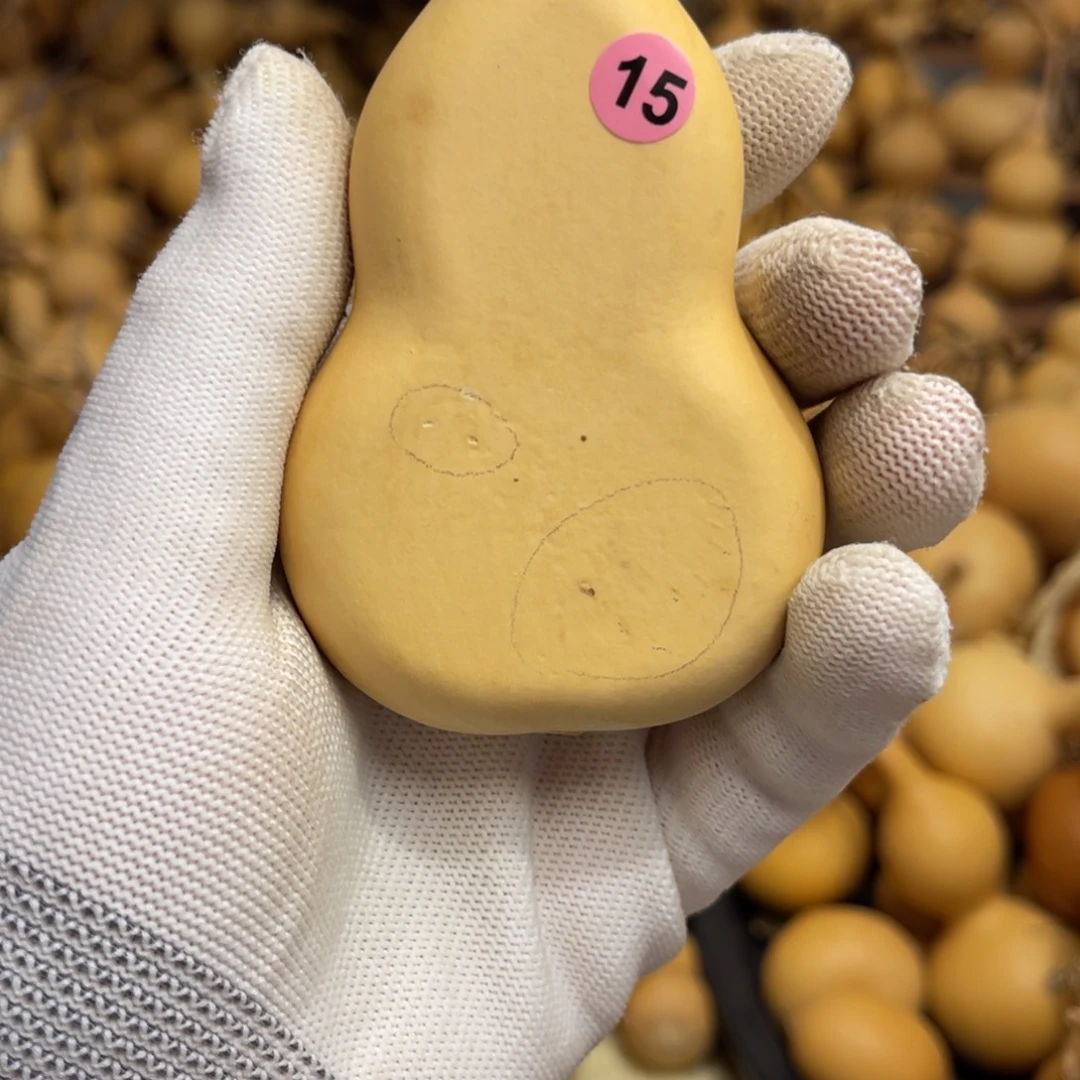 闪拍葫芦链接-15号品