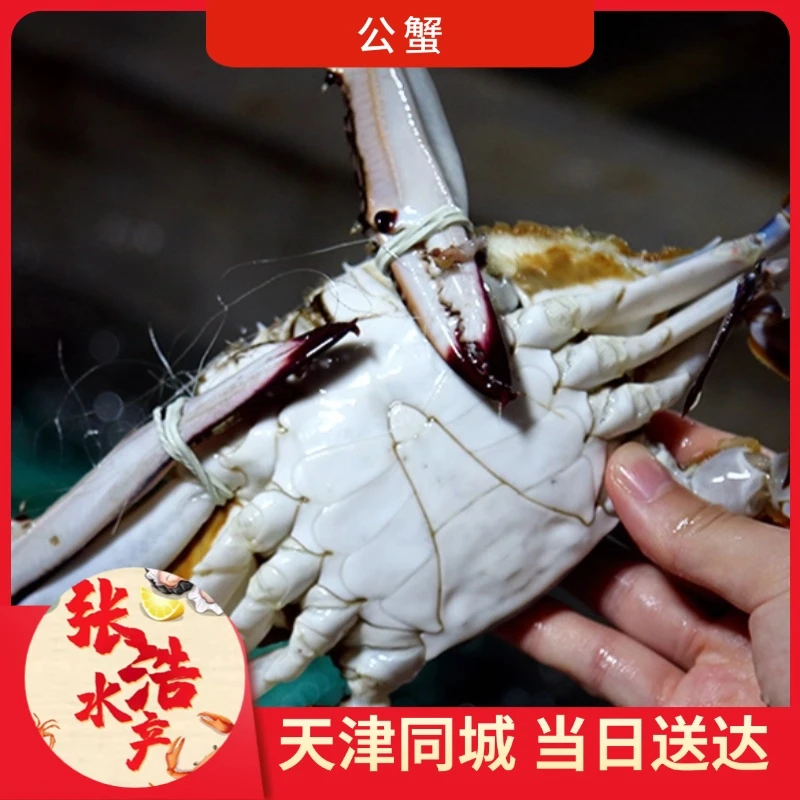 【保鲜不保活】公蟹 每斤2-5只(单只2-5两)天津同城当日达 残蟹