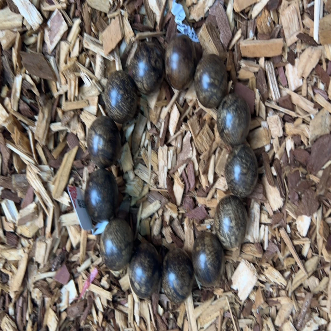 沉香w121 福来精选高端文玩