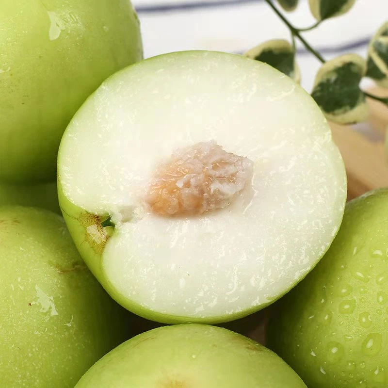 福建牛奶枣脆甜多汁贵妃枣苹果枣应急水果孕妇水果青枣现摘现发