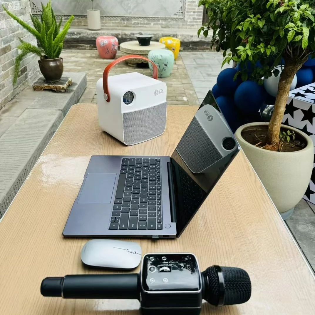 权盟 双娱直播唱歌麦 无线蓝牙自带音效 唱歌设备 户外设备