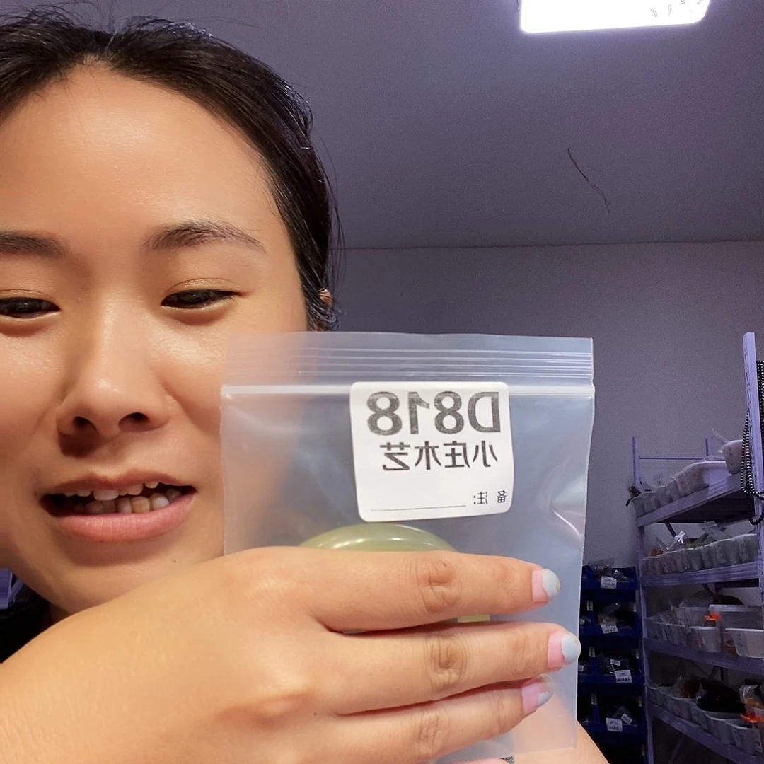 【闪购商品】无***~黑檀木，风车木818